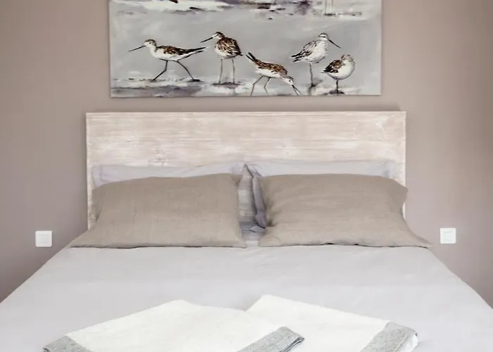 Les Ajoncs Sainte-Marie-de-Ré