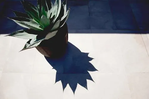 Les Ajoncs Sainte-Marie-de-Ré