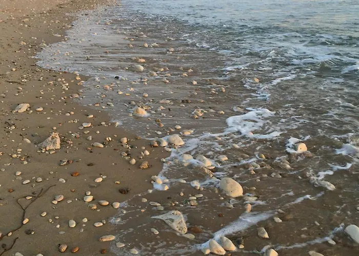 Bed & Breakfast Les Ajoncs Sainte-Marie-de-Ré