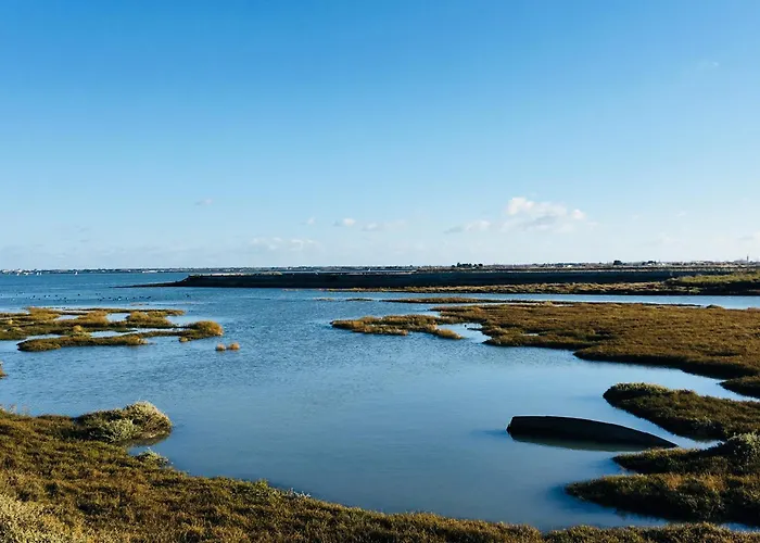 Bed & Breakfast Les Ajoncs